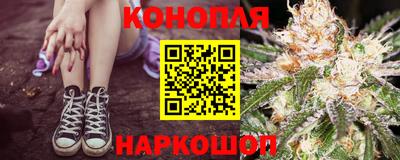 сатива Новозыбков
