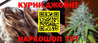 сатива Новозыбков