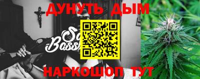сатива Новозыбков